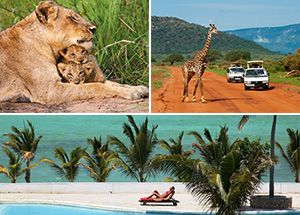 Safari Kenya e Twiga Beach