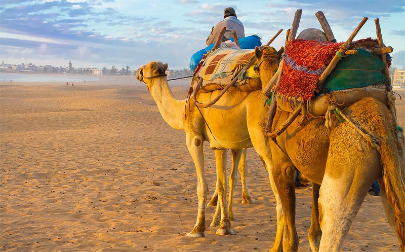 Tour Marocco deserto, Arte & Cultura