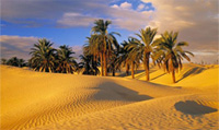 Tunisia, il deserto